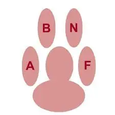 Logo du club de race ABNF, Association des Bergers Néerlandais de France