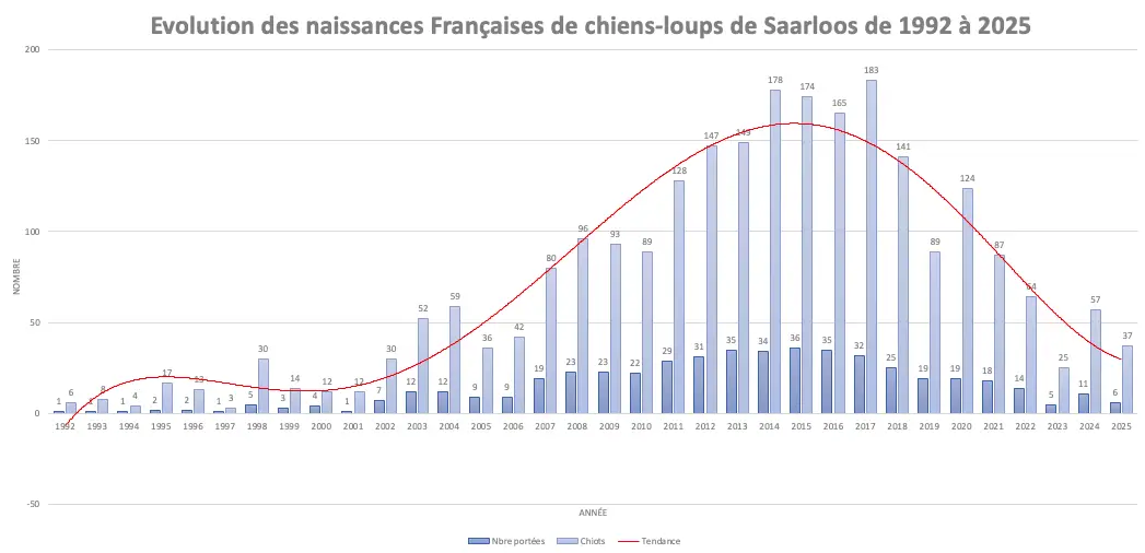 Graphique en colonnes de l'évolution des naissances de chiens-loups de Saarloos de 1992 à 2025 en France