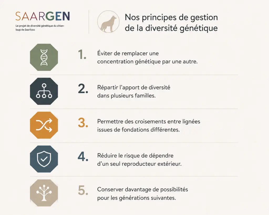 Les principes de gestion de la diversité génétique de SaarGen
