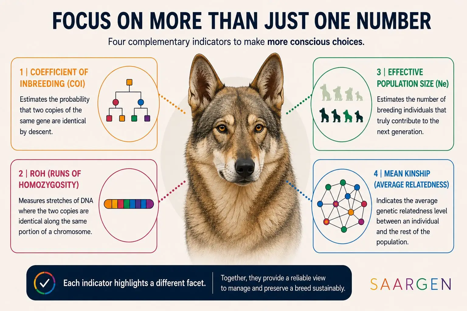 Genetic diversity in dogs: multiple indicators rather than a single number.
